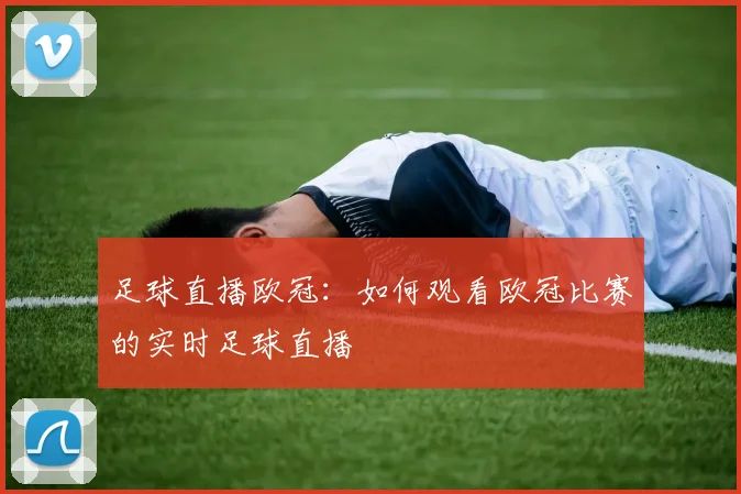 足球直播欧冠：如何观看欧冠比赛的实时足球直播