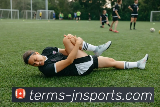 江南体育平台生态图